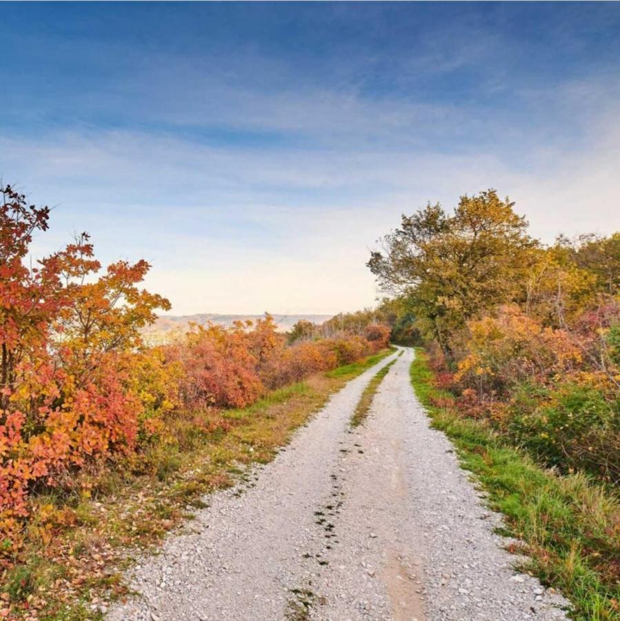 Apartment Parenzana, Little Row House With Big Green Yard In Central Istria Rakotule Bagian luar foto